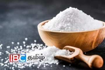 உப்பு இறக்குமதி தொடர்பில் வெளியான தகவல்