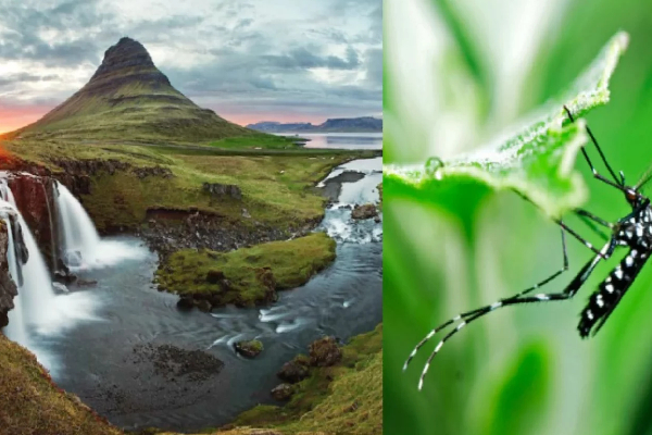 iceland
