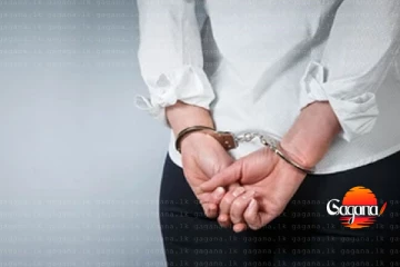 ලී අවියක් ළඟ තියාගෙන IP නෝනෙකු ලෙසින් රඟපෑ කතක් රිමාන්ඩ්