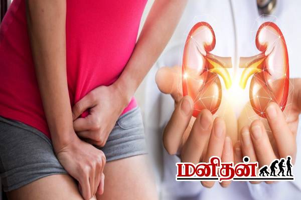 ஆண்களே உஷாரா இருங்க.. சிறுநீர் கழிக்கும் பொழுது ஏன் எரிச்சல் தெரியுமா? | Kidney Disease Full Details In Tamil ஆண்களே உஷாரா இருங்க.. சிறுநீர் கழிக்கும் பொழுது ஏன் எரிச்சல் தெரியுமா? | Kidney Disease Full Details In Tamil