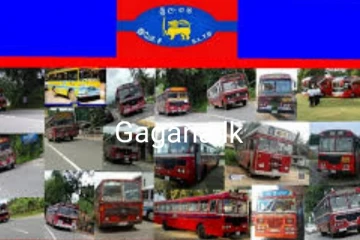බස් රථ සම්බන්ධයෙන් විශේෂ ඇප් එකක් හදුන්වා දෙයි..