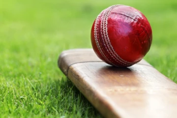 කාසියේ වාසිය සිංහයින්ට.