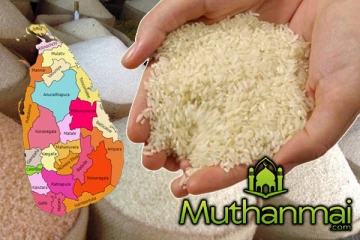 அரிசி இறக்குமதிக்கான கால அவகாசம் குறித்து வெளியான அறிவிப்பு