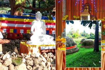 கந்தரோடையில் திடீரென நிறுவப்பட்ட புத்தர் சிலை: முன்னெடுக்கப்படும் பூஜை வழிபாடுகள்