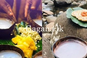 ලංකාවේ තලේ බලේ සුද්දන්ට පෙන්නලා මඩිය තරකර ගත් හැටි.