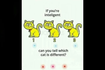 Brain Teaser Maths: கண்களை ஏமாற்றும் இந்த படத்தில் வித்தியாசமான பூனை எது?