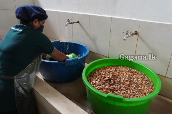 සර්වාංග රෝගවලට තිත තබන සිද්ධාදී වෙද මැදුර | Siddhadi Ayurveda Clinic Healing Hope සර්වාංග රෝගවලට තිත තබන සිද්ධාදී වෙද මැදුර | Siddhadi Ayurveda Clinic Healing Hope