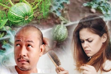 சொட்டைத் தலையில் முடி செழித்து வளர வைக்கும் குமட்டிக்காய்! சித்தர்கள் சொன்ன ரகசியம்