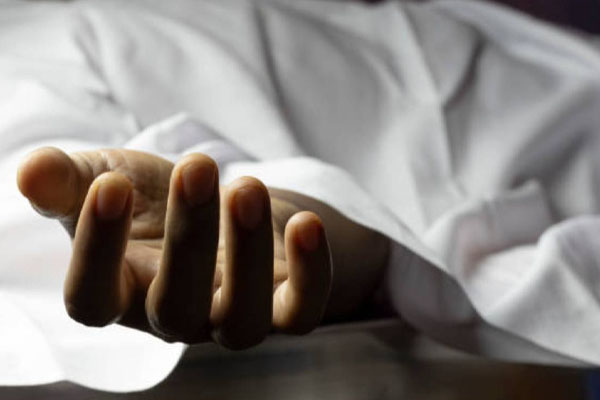 குளவி தாக்குதலுக்கு இலக்காகி பெண் பலி | Woman Dies After Being Attacked By Wasps