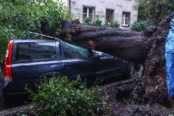 போலாந்தில் இருளில் முழ்கிய ஆயிரக்கணக்கான வீடுகள்! | Poland Storm Thousands Left Without Power Home