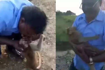 குரங்குதானே என விட்டுச்செல்லாமல் நபர் செய்த செயல்! வைரலாகும் காணொளி