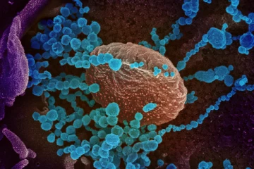 Omicron வைரஸ் மின்னல் வேகத்தில் தாக்க இது தான் காரணம்! WHO வெளியிட்ட அதிர்ச்சி தகவல்