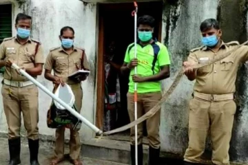 வீட்டு சமையலறையில் ஏதோ ஒன்று சுருண்டு கிடப்பதை கண்ட நபர்! அருகில் சென்ற போது காத்திருந்த அதிர்ச்சி