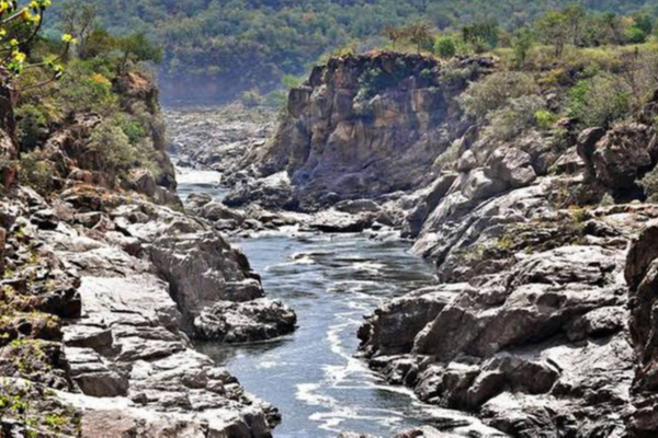 கர்நாடகாவால் ஒரு செங்கல்கூட வைக்க முடியாது - ஆவேசமான அண்ணாமலை | Bjp Annamalai Condemn To Karnataka Cm