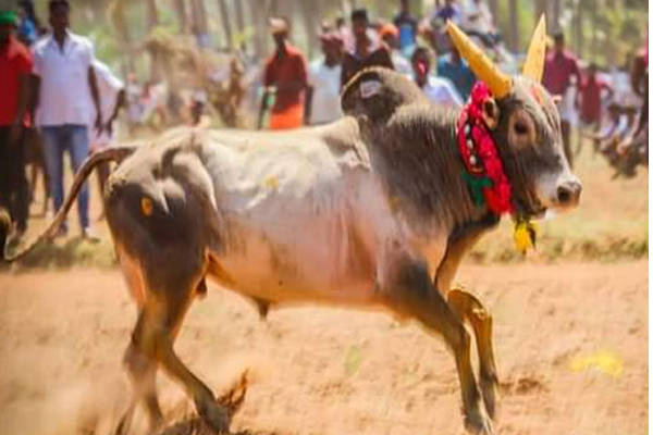 மு.க.ஸ்டாலின் மற்றும் செந்தில் தொண்டமான் இடையே முக்கிய சந்திப்பு | Important Meeting Between Stalin Senthil Thondaman
