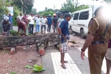 வீதியில் பயணித்த வயோதிப தம்பதிக்கு நேர்ந்த கதி