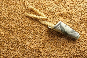 கொள்ளையடிக்கப்பட்ட தானியங்களை இறக்குமதி செய்யும் ஆசிய நாடு: நடவடிக்கை கோரும் உக்ரைன்