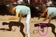 Snake: படமெடுத்து நின்ற பாம்பை வெறுப்பேற்றிய இளைஞர்... கோபத்தை ஏற்படுத்தும் காட்சி