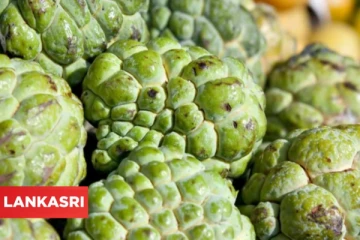 மன அழுத்தத்தை சரிப்படுத்த, நோய் எதிர்ப்புச் சக்தி பெற இந்த பழத்தை நன்றாக சாப்பிடலாம்!