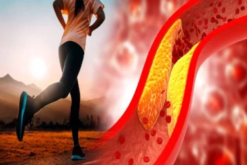 உடலில் இருக்கும் கெட்ட கொலஸ்ட்ராலை குறைக்கணுமா? ஆரோக்கியமான வழிமுறைகள் இதோ