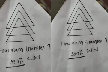 இந்த படத்தில் எத்தனை முக்கோணங்கள் உள்ளது? சரியான பதிலுக்கு வெறும் 10 நொடி தான்