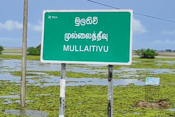 முல்லைத்தீவு பாடசாலை அதிபரின் முறைகேடு; பிரதமர் செயலகம் அதிரடி | Misconduct By The Mullaitivu School Principal