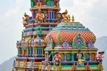 யாழ்ப்பாணத்தில் ஆலயத்திற்கு அருகில் இறைச்சி கழிவுளை வீசியது யார்? பக்தர்கள் கவலை !