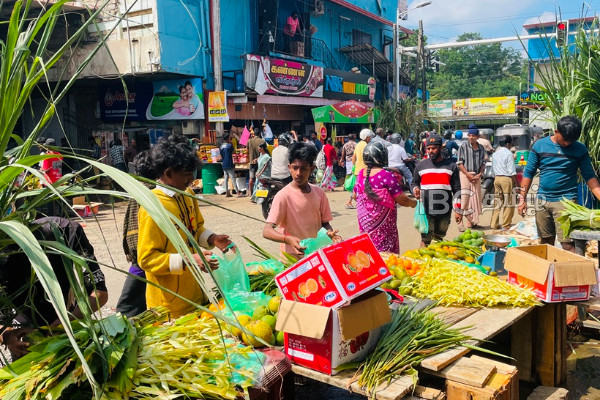 தமிழர் பகுதியில் களைகட்டிய பொங்கல் வியாபாரம்! | Pongal Business In Vavuniya