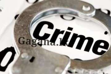 අවන්හලක් තුළ මිනිස් ඝාතනයක්.