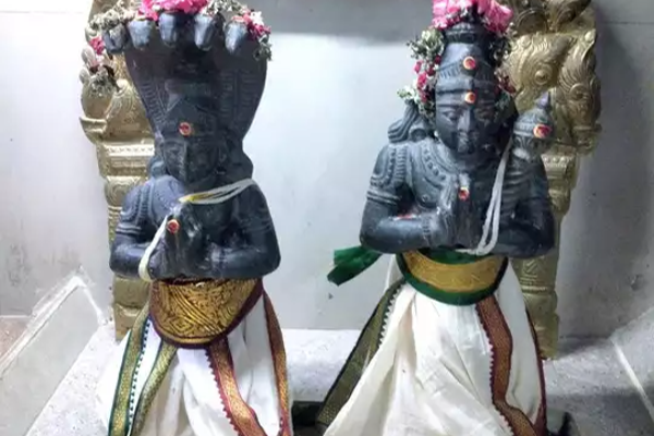 அடுத்த 6 மாதத்திற்கு அதிர்ஷ்ட மழையில் நனையப்போகும் ராசிக்காரர் யார் யார் தெரியுமா? | Rahu Ketu Peyarchi 2022