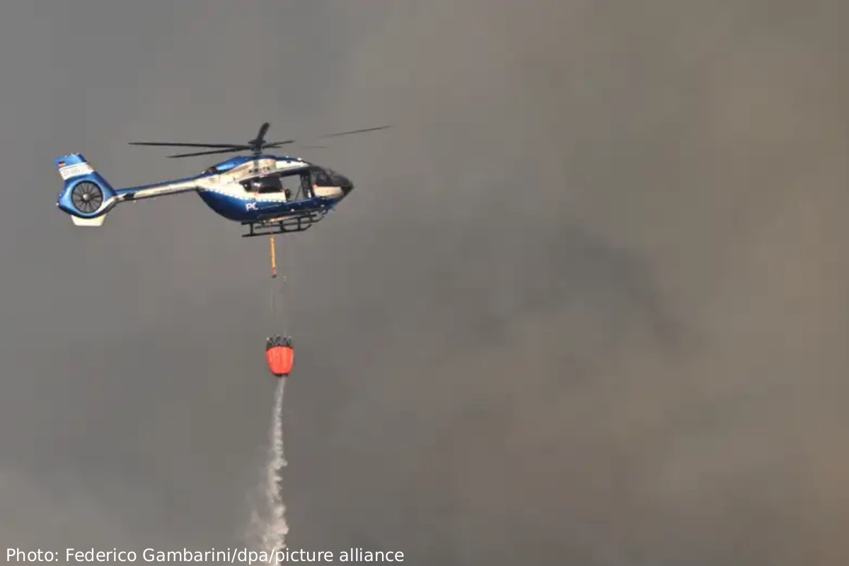 ஜேர்மனியிலும் பரவத் துவங்கியது காட்டுத்தீ | Germany Wildfire Evacuation In Eifel Forest ஜேர்மனியிலும் பரவத் துவங்கியது காட்டுத்தீ | Germany Wildfire Evacuation In Eifel Forest