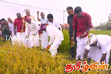 இடைத்தரகர்களிடமிருந்து விவசாயிகள் காப்பாற்றப்பட வேண்டும்: வேதநாயகன் கருத்து