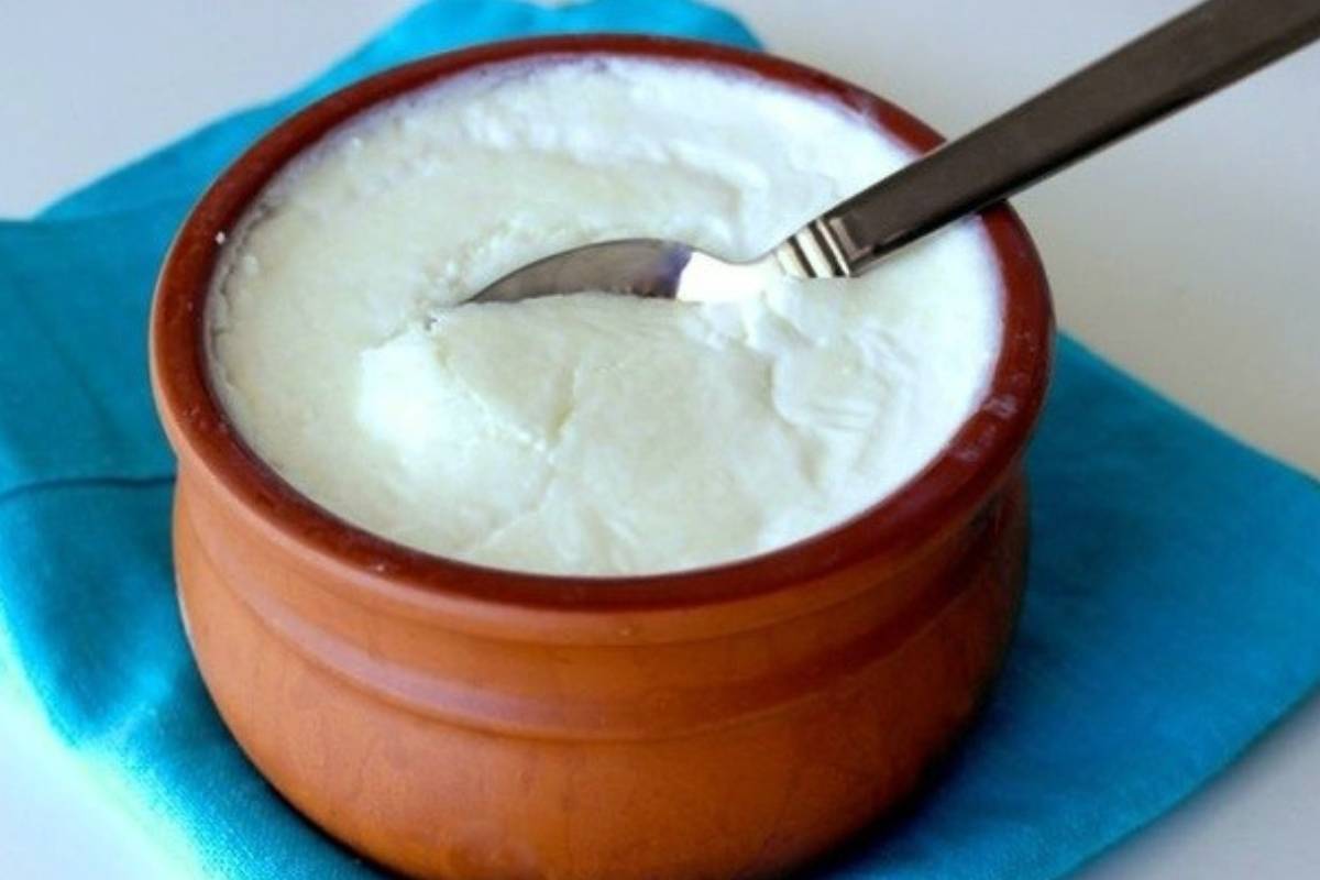 தினமும் தயிர் சாப்பிடுவதால் கிடைக்கும் நன்மைகள் | Benefits Of Eating Curd Daily தினமும் தயிர் சாப்பிடுவதால் கிடைக்கும் நன்மைகள் | Benefits Of Eating Curd Daily