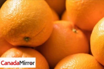 564 ரூபாய்க்கு ஆச பட்டு 30 கிலோ பழத்தை சாப்பிட்ட நண்பர்கள்; நேர்ந்த சோகம்