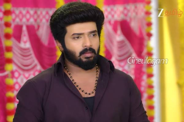 ஜீ தமிழின் கார்த்திகை தீபம் சீரியல் நடிகர்களின் நிஜ வயது என்ன தெரியுமா?... முழு விவரம் | Karthigai Deepam Serial Actors Real Age