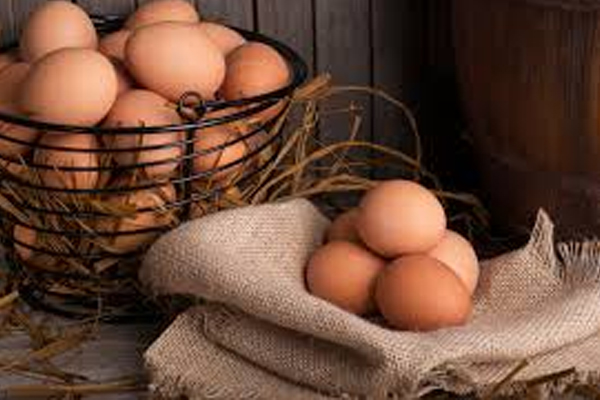 மொத்த வியாபாரிகளுக்கான முட்டையின் விலை | The Price Of Eggs For Wholesalers Is Rs46