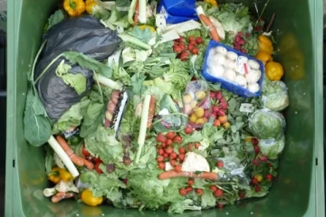 தவறாக வழிகாட்டும் ஸ்டிக்கர்களால் வீணாகும் உணவு: கனேடிய நிபுணர்கள் கவலை