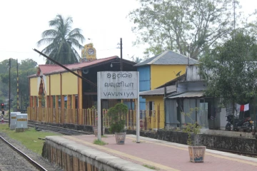 வவுனியா ரயில் நிலையத்திற்கு அருகில் இரவில் தீப்பிடித்து எரிந்த மரம்