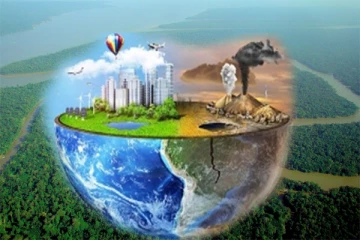 அமைதியாய் அழியும் உலகின் நுரையீரல்