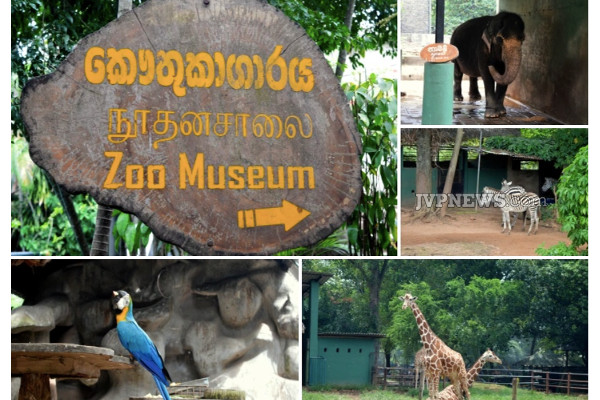 பூங்கா புகைப்பட கட்டணமும் எகிறியது! | Zoo