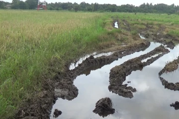 வவுனியாவில் சீரற்ற காலநிலை காரணமாக விவசாயிகள் பாதிப்பு (PHOTOS)