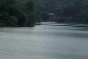 තරුණියක් වික්ටෝරියා ජලාශයට පනියි..