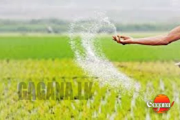 පොහොර සැඟවූවහොත් නිතිය දැඩිවෙයි