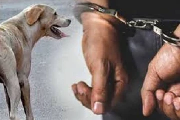 வளர்ப்பு நாயால் இடம்பெற்ற படுகொலை சம்பவத்தின் சந்தேக நபர் கைது