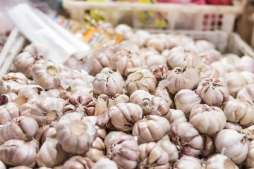 தேசிய பாதுகாப்புக்கு அச்சுறுத்தல்... சீனா பூண்டு இறக்குமதியால் அமெரிக்காவில் கொந்தளிப்பு