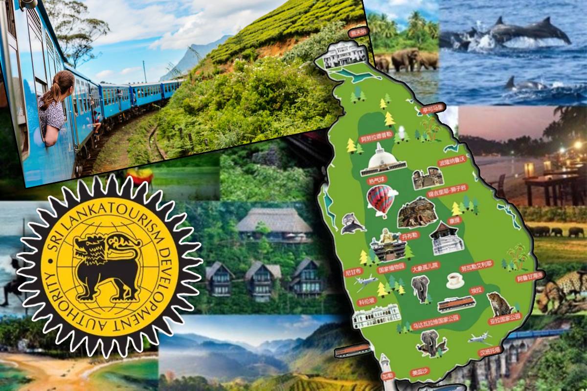 இந்த ஆண்டில் இலங்கைக்கு வந்து குவிந்த சுற்றுலாப் பயணிகள்!
