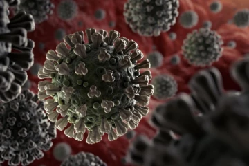 தகவல் தொழில்நுட்ப துறை அமைச்சருக்கு கொரோனா