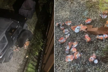 கனடாவில் காரிலிருந்த 69 சோடா கேன்களை கபளீகரம் செய்த கரடி