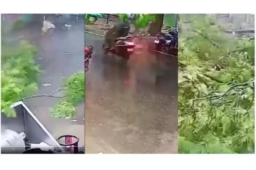 நூலிழையில் உயிர் தப்பிய நபர் - கொரட்டூரில் மரம் வேரோடு சரிந்து விழுந்த CCTV காட்சி..!