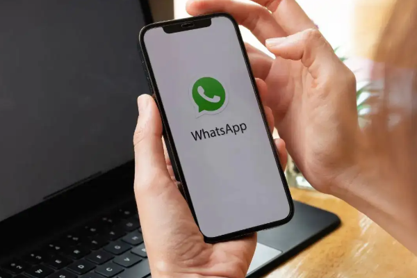 whatsapp guest chat